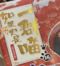 如果历史是一群喵5 乱世三国篇【现货速发】 假如历史是一群喵 正版 历史是一群喵 肥志历史科普漫画书 小学生儿童漫画趣味中国史三国演义绘本动漫 第15册大清风云篇 实拍图