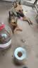 欧卡曼马犬专用狗粮小幼犬成犬通用型训练粮训狗1-2-3个月5kg10斤装 马犬专用粮10斤装 实拍图