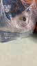 亿迪 冻干猫粮幼猫成猫全阶段布偶蓝猫布偶小包装5斤装 实拍图
