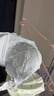 都市丽人内衣女手掌杯小胸聚拢胸罩性感蕾丝软支撑薄款文胸2B32A6 实拍图