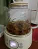小熊（Bear）全玻璃养生壶 纯玻璃煮茶壶恒温壶 多功能炖煮花茶壶烧水壶 1.5L YSH-H15L2 实拍图