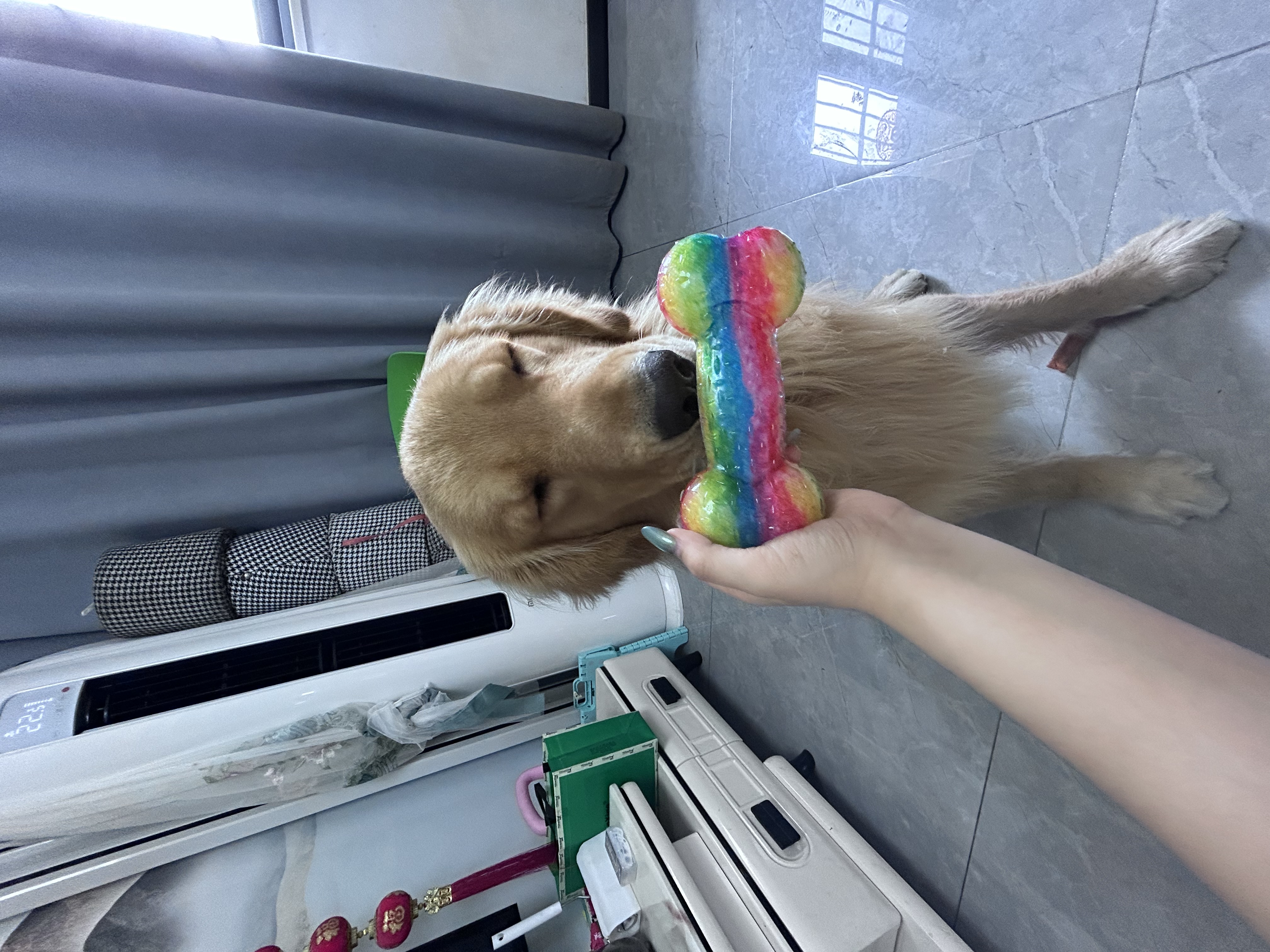 贵为（GiGwi）狗玩具糖果发声骨头磨牙耐咬解闷 中大型犬狗狗玩具宠物玩具 实拍图