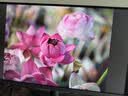 明基（BenQ）PD2706QN 27英寸2K100Hz HDR Type-C供电  双P3色彩模式 全链路色准设计修图电脑显示器 实拍图