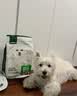 网易严选犬粮 小型犬酸奶狗粮幼成犬通用 促进消化 50g*2 实拍图