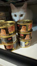 富力鲜（Frisian） 富力鲜泰国进口 猫罐头85g*10罐白身鲔鱼+牛肉成猫宠物猫粮零食 实拍图
