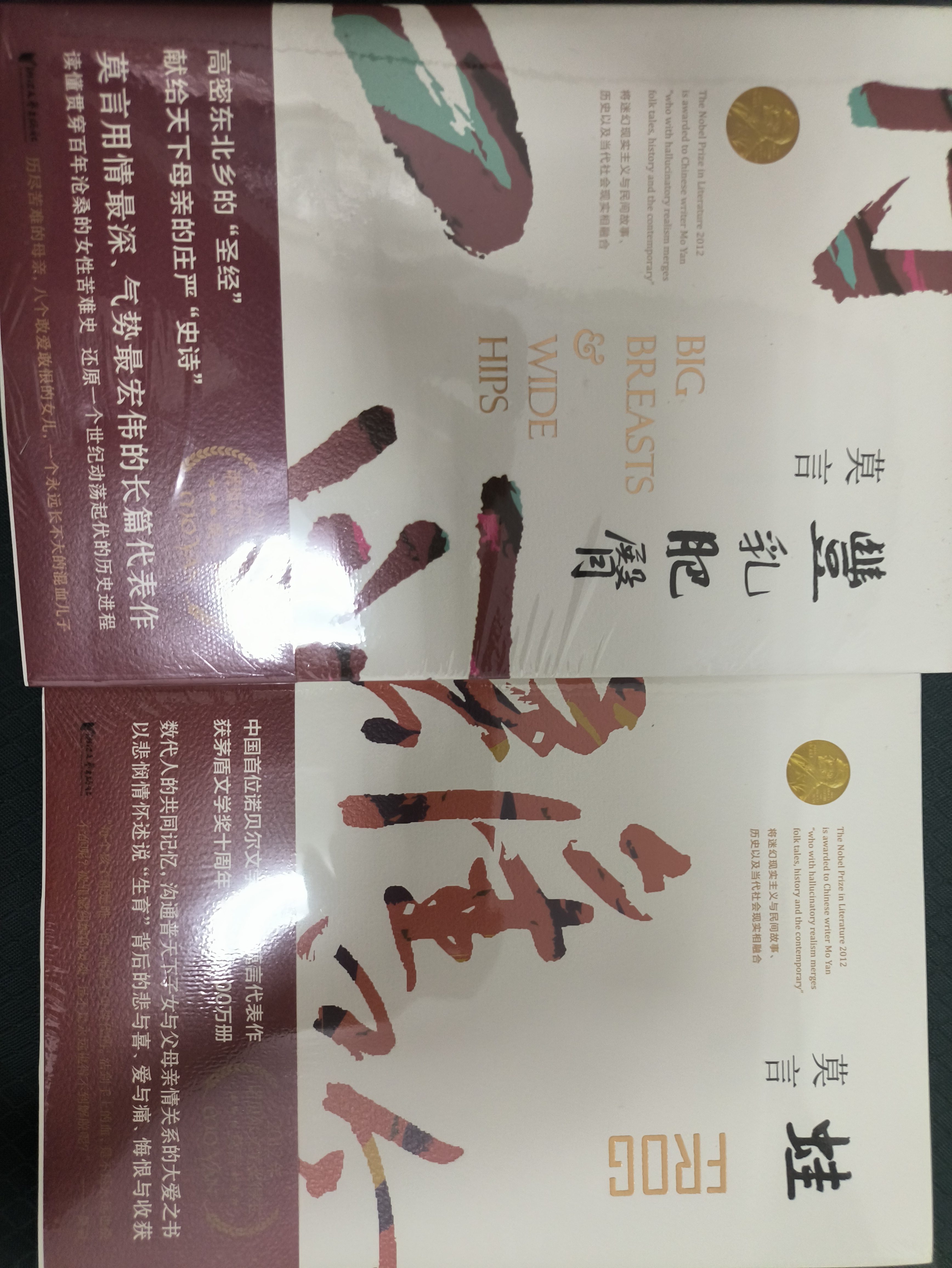 莫言长篇小说集（精选套装全10册）随书附赠莫言书法帆布袋和书签 实拍图