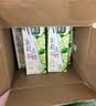 豆本豆茉莉豆奶250ml*20盒整箱.21g植物蛋白饮料营养儿童学生早餐奶礼盒 实拍图