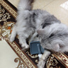HELLOJOY宠物猫狗梳子猫毛狗狗毛梳子去浮毛脱毛猫咪梳毛刷神器大型犬用品 实拍图