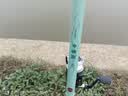 光威夕雾投3米海钓竿抛竿甩杆超硬超硬调钓抛投鱼竿海竿竿 实拍图