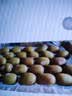 佳沛（zespri）新西兰 阳光金果25-27粒原箱特大果单果124-146g 猕猴桃水果礼盒 实拍图