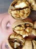 新疆纸皮核桃2025新货阿克苏薄皮孕妇专用原味生正宗 新疆185纸皮核桃1000g 实拍图