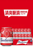 百威啤酒mini红罐淡色拉格255ml*12小罐整箱装京东自营喜酒 实拍图