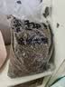 麦富迪狗粮 藻趣儿狗粮成犬粮牛肉螺旋藻 均衡营养15kg/30斤 实拍图