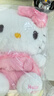 名创优品（MINISO）三丽鸥Hello Kitty凯蒂猫玫瑰之约公仔玩偶玩具抱枕生日七夕礼物 实拍图