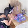 奥智嘉儿童化妆品玩具口红眼影指甲油无毒公主过家家套装女孩生日礼物 实拍图