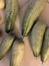京鲜生 山东羊角蜜甜瓜 净重4.5斤起 单果300g+ 生鲜水果源头直发 实拍图