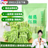 相遇红颜贡菜干货100g云南大理特产农家苔菜特级蔬菜火锅凉拌食材南北干货 实拍图