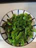 Yihai亿海 裙带菜梗段300g*5袋 香辣海白菜即食海藻海裙菜海带丝下酒菜 【解馋下饭】香辣梗段300g*6袋 实拍图