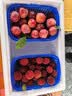 印品棉棉屋2条装儿童夏季防蚊裤纯棉薄款男女宝宝九分裤长裤灯笼裤空调裤 兔子爱心防蚊九分裤2条装 90 码（可开档） 实拍图
