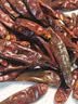 川珍干辣椒200g【配料干净】四川朝天红辣椒火锅干锅底料卤料香辛调料 实拍图