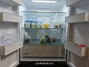 海尔「小红花系列」456L法式多门电冰箱2026新款抗菌双净化超薄风冷无霜BCD-456WGHFDEDB7U1国家补贴 实拍图