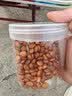 十年梦新货松子东北1000g手剥开口松子大颗粒坚果孕妇零食干果罐装 【2罐】开口松子500g 实拍图
