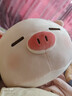 名创优品（MINISO）小猪B-BO弹力超柔趴姿公仔毛绒玩偶儿童玩具抱枕靠枕生日礼物女 实拍图
