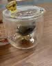 雅集茶具颜品壶耐热透明玻璃红茶壶加厚家用带过滤内胆茶水分离泡茶壶 实拍图