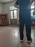 李宁运动裤男士速干跑步裤子夏季休闲裤冰丝长裤直筒男裤篮球训练卫裤 实拍图