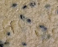 健元堂铁棍山药薄脆片黑芝麻粗粮无蔗糖饼干饱腹代餐孕妇休闲零食800g 实拍图