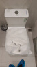 九牧（JOMOO）马桶家用九级暴风2.0大冲力坐便器银离子抗菌易洁节水马桶11383 九级暴风2.0大冲力【PP盖板】 305坑距【290-390以内选择】 实拍图