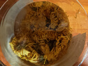 福东海特级有机金丝皇菊花茶【约110大朵】安徽黄山护肝去花草火黄菊 实拍图