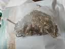 修年堂 鱼腥草250g（5g*50包） 折耳根可泡茶 鱼腥草干凉茶 养生茶  实拍图