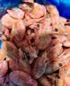 禧美海产加拿大北极甜虾净重3斤/盒 90/120规格 熟冻  MSC认证 轻食海鲜 实拍图