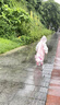 牧萌儿童雨衣男女童幼儿园小童宝宝全身防水男孩雨披 糖果独角兽 XL 实拍图