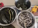展艺糖纳红小豆500g奶茶清补凉即食蜜豆粽子八宝饭汤圆馅料烘焙原料 实拍图