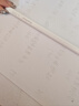 闪魔电容笔iPad苹果笔apple pencil一二代2026款防误触平替触控手写笔iPadPro/air通用款升级蓝牙电显 实拍图