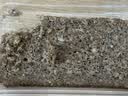 捷森德国进口 多种谷物面包500g/袋  0糖0反式  全麦粗粮低脂健身代餐 实拍图