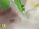 科巢（scoornest）科巢儿童雨衣男童小孩全身防水女童新款宝宝幼儿园上学小学生雨披 实拍图