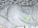 babycare小睡象恒温分腿睡袋新生婴儿纱布防踢被四季通用宝宝儿童节礼物 【空调房 前4后2】天鹅集（22~28℃） 70cm（推荐身高：68-75cm） 实拍图