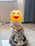 贝易BEIESTATE典藏扭扭车 1-6岁宝宝摇摇车大人可坐宝宝礼物声光音乐款 卡其色 实拍图