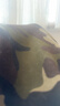 公牛（BULL）20W快充USB多国旅行插座转换插头/出国旅行出差留学超功率保护插头欧标美标澳标英标 海盐蓝 实拍图