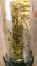 恩施玉露早春绿茶高山恩施硒茶蒸青茶叶自己喝口粮茶冷泡茶罐装100g 实拍图