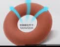 佳禾医用防褥疮充气坐垫家用痔疮术后老病人瘫痪卧床臀部圆形护理C01 实拍图
