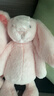 名创优品（MINISO）福莉丝猪系列-乖乖坐姿公仔毛绒玩具玩偶抱枕娃娃生日礼物女 实拍图