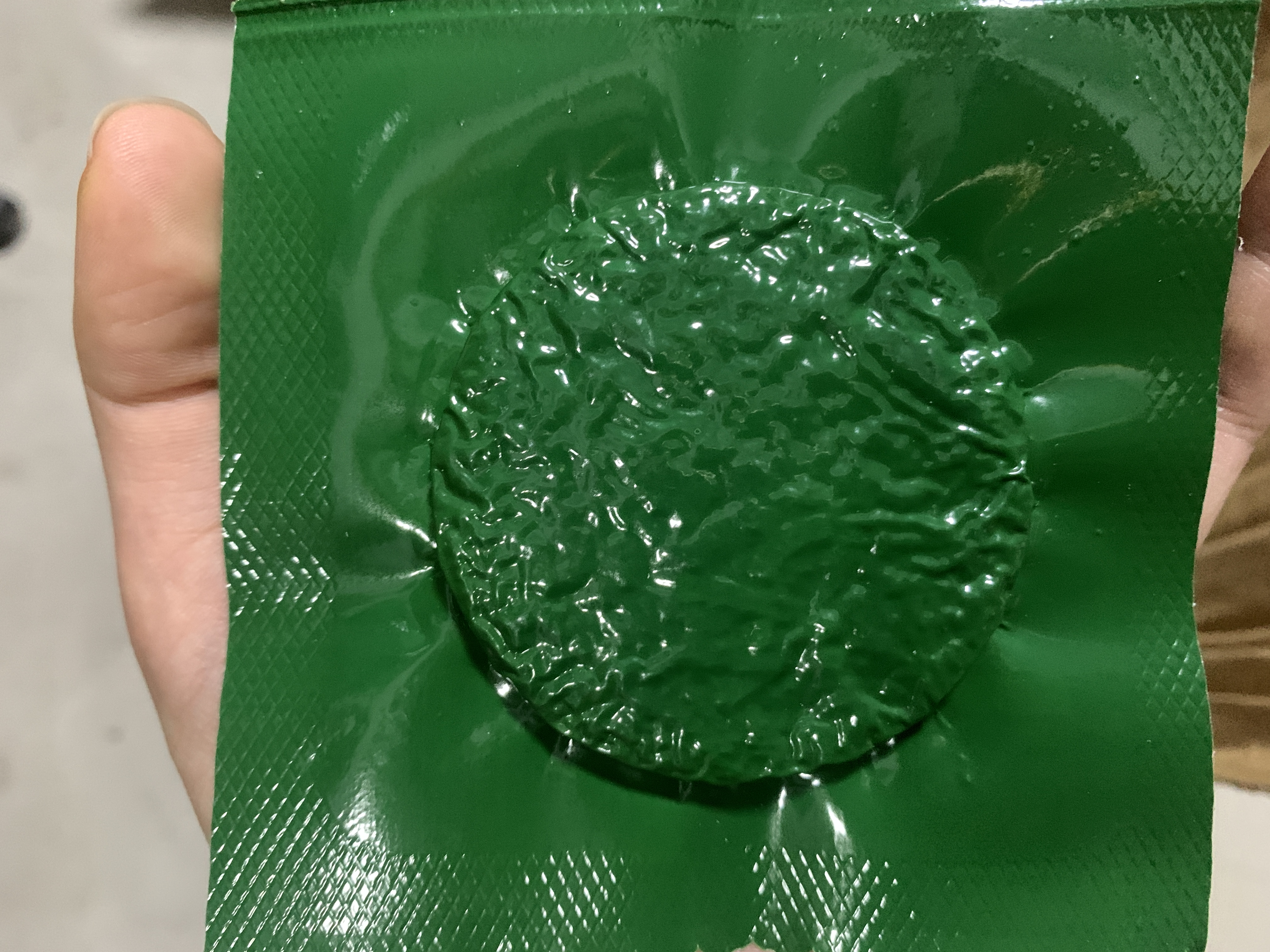 有机小海带嫩芽海带丝鲜嫩干净无沙老少皆宜盐渍霞浦特产火锅食材 16g优质压缩海带丝【1包尝鲜装】 实拍图