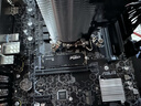 华硕（ASUS）全家桶追影i5 14400F/U5 245KF/RTX5060/5060Ti/5070三角洲电竞游戏台式电脑diy主机组装电脑整机 规格一丨i5 13400TEF/RTX3050 实拍图