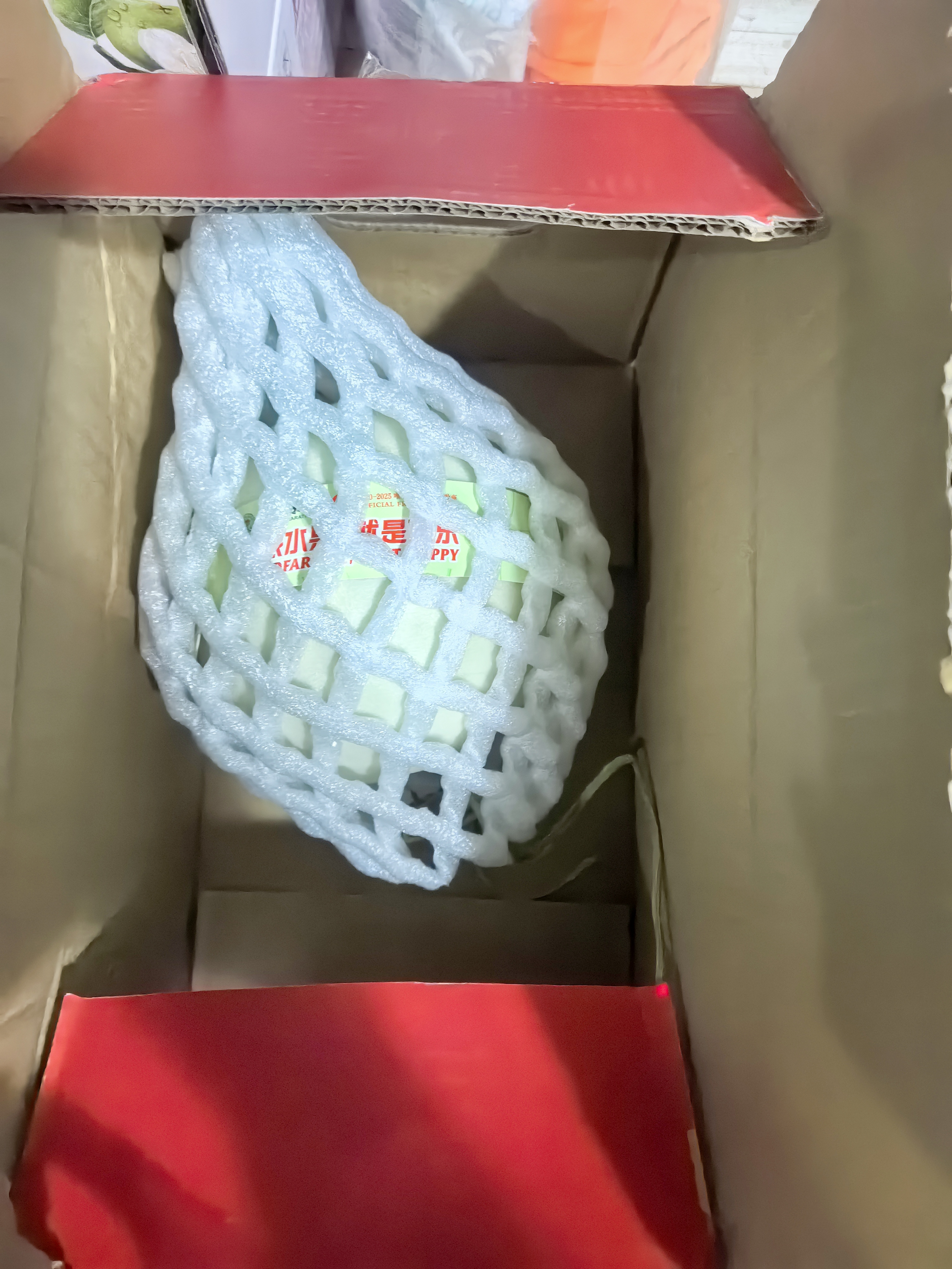 佳农 甘肃玉菇甜瓜 2粒装 5-7斤 水果礼盒 源头直发 实拍图