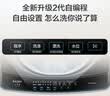 海尔（Haier）全自动波轮洗衣机 12KG大容量 除菌螨 家用宿舍 家电国家补贴以旧换新京东自营 XQB120-Z10D0 实拍图