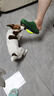 Orijen渴望狗粮 小型犬成犬 全价无谷进口鱼肉进口犬粮4.5kg 效期27/6 实拍图